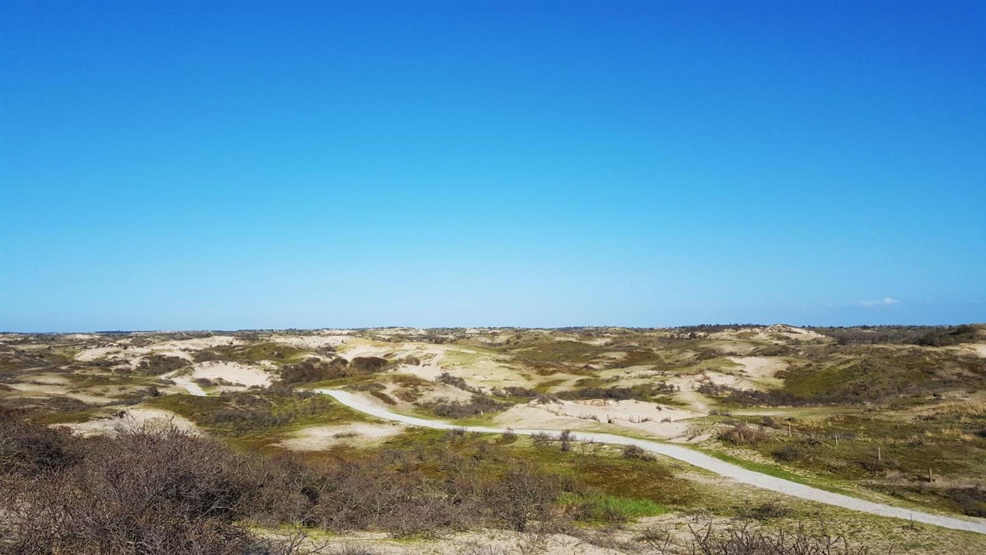 Bamboe Suite Bentveld Met Ligbad En Gratis Parkeren ภายนอก รูปภาพ